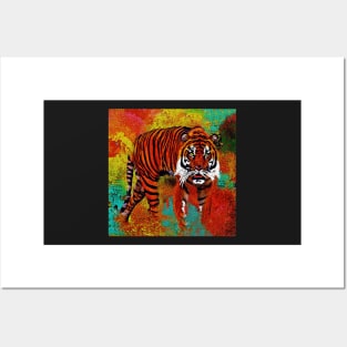 Tiger Posters and Art